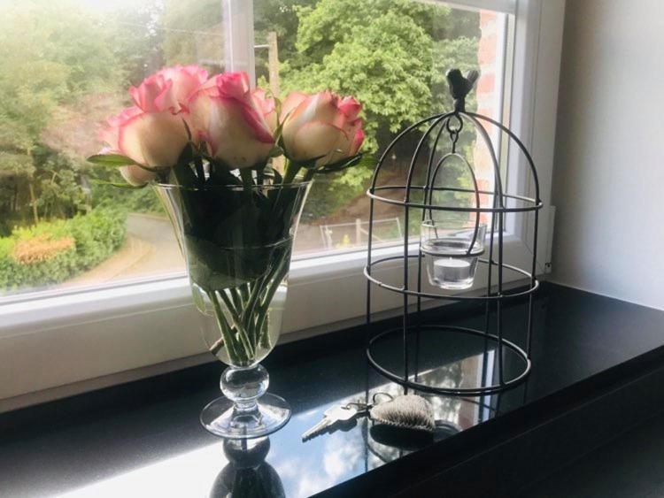 Vakantiewoning D'Hoppe Flobecq Esterno foto